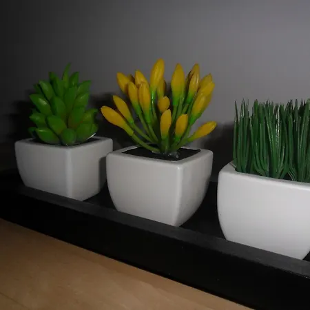 Apartmán Your Place Ii Porto