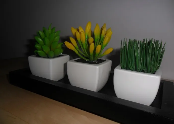 Daire Your Place Ii Porto